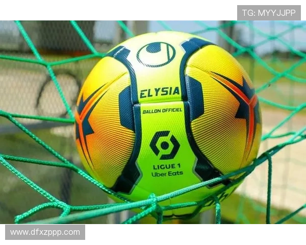 南特俱乐部：历史、荣誉与未来展望